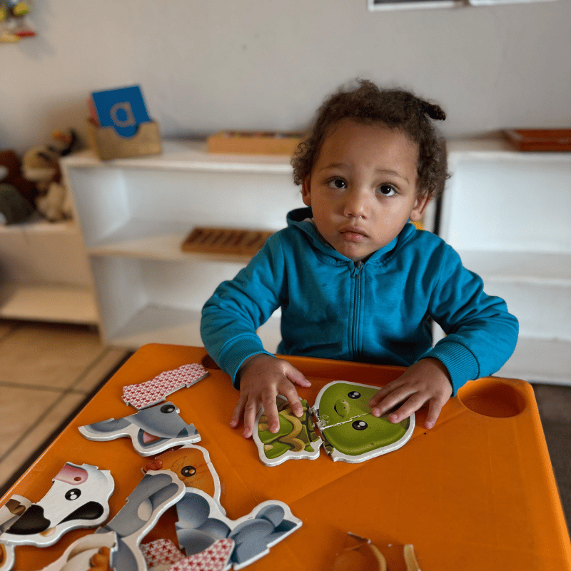 Kiddies Hive – Classroom (23)